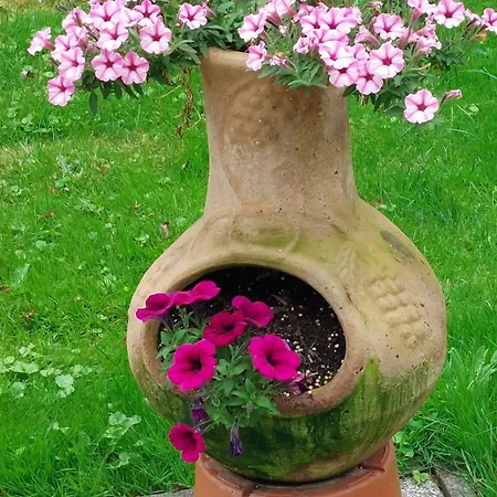 Goerke Kritzkow